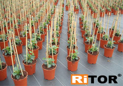 Agrotextile Fabrics